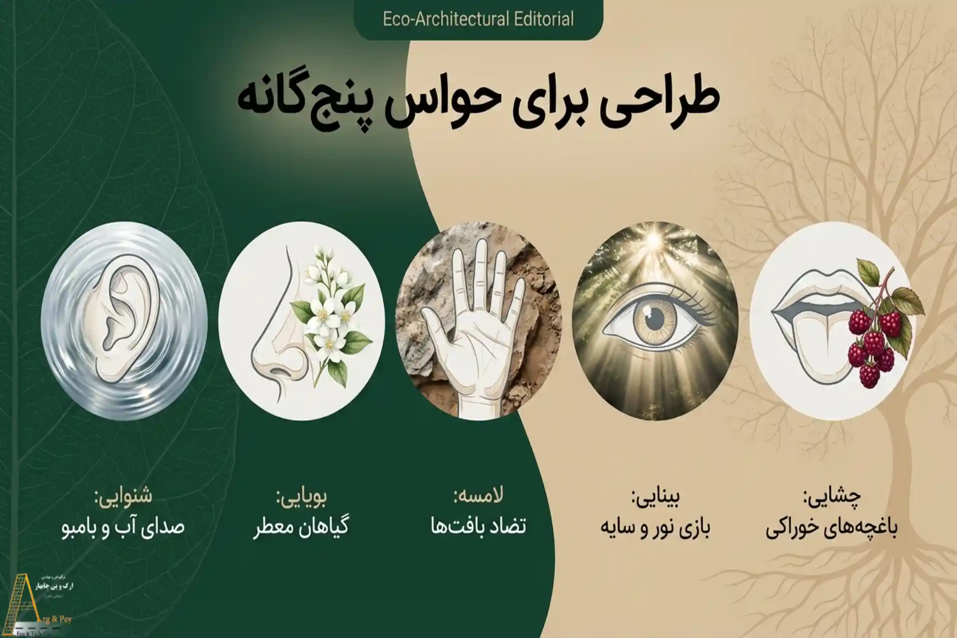 طراحی سبک محوطهسازی بیوفیلیک برای حواس پنجگانه
