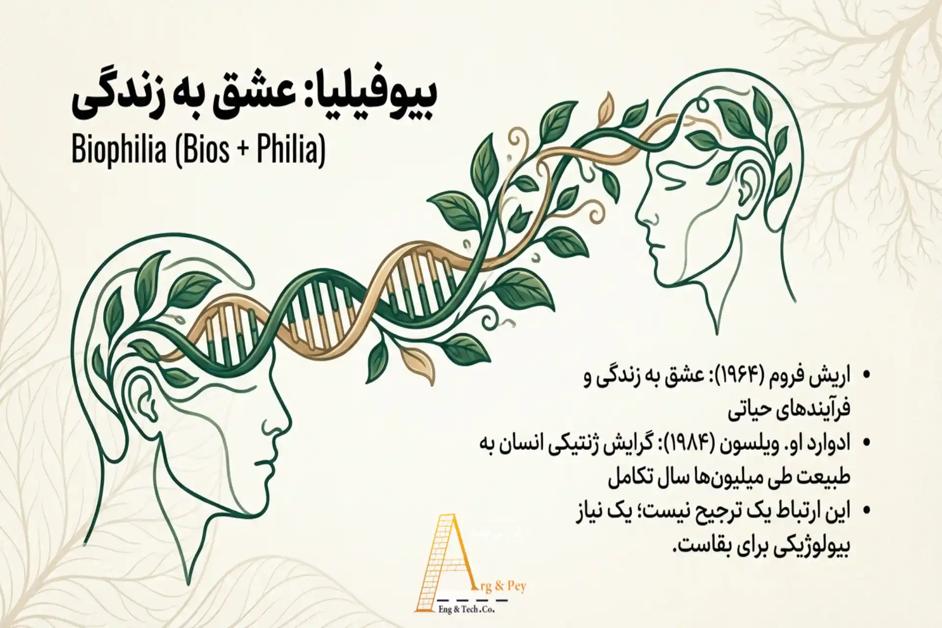 ریشه کلمه بیوفیلیا