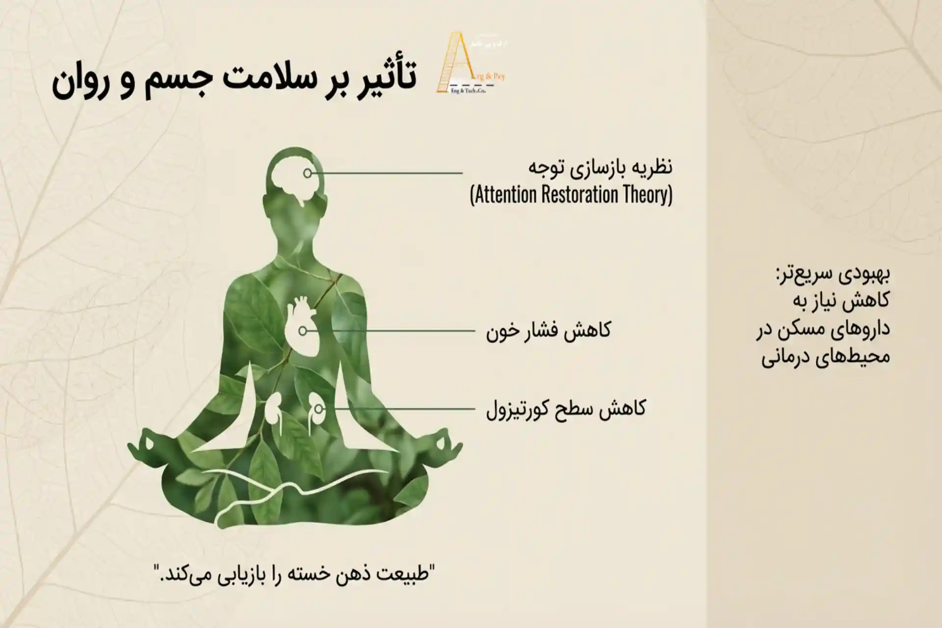 مزایای سبک محوطهسازی بیوفیلیک برای سلامت جسم