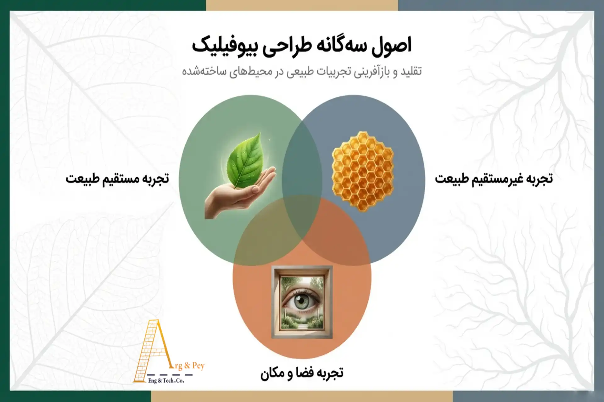 عناصر کلیدی سبک محوطهسازی بیوفیلیک