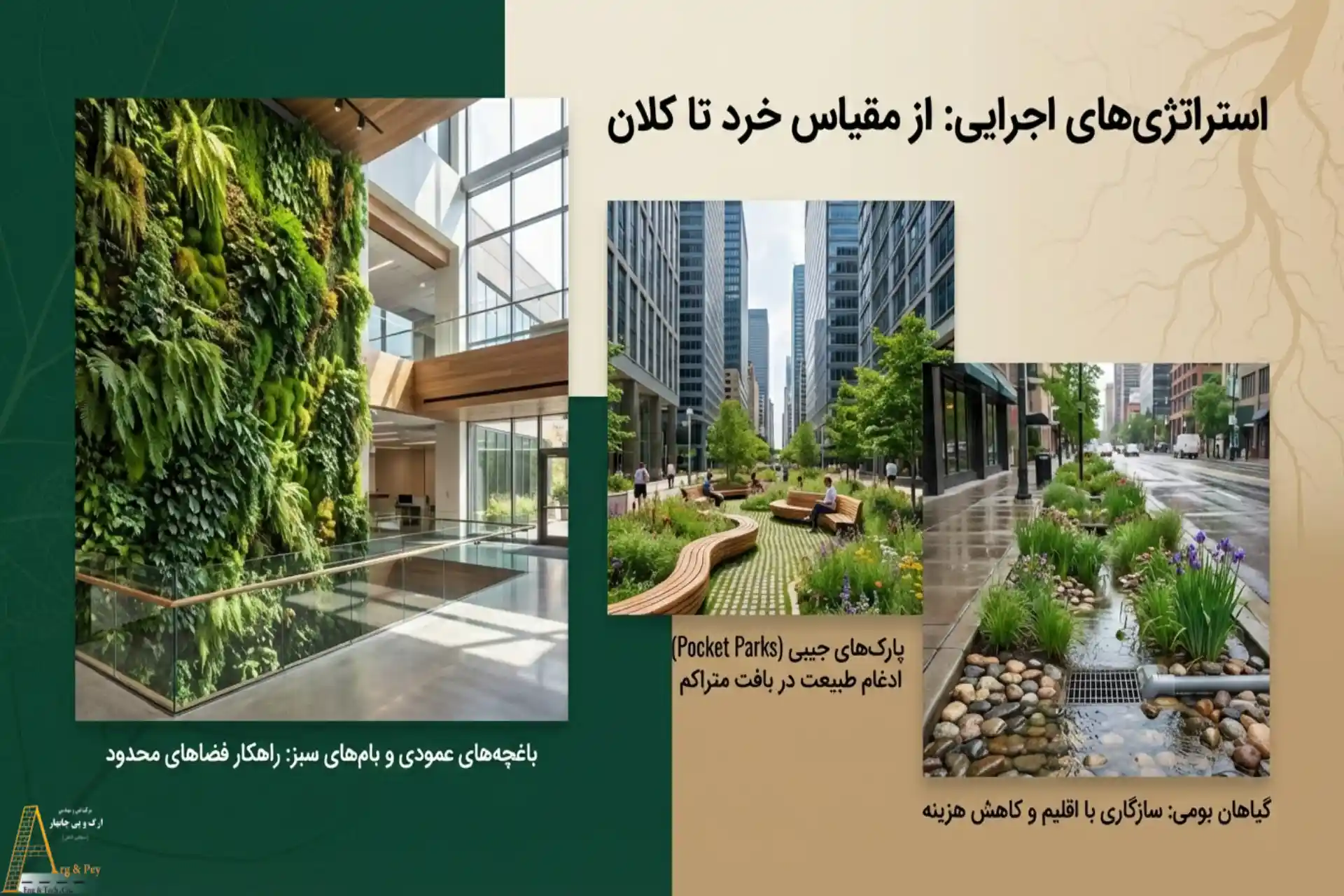 راهکارهای عملی پیادهسازی سبک محوطهسازی بیوفیلیک